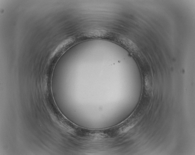 X0000063490396200601231417