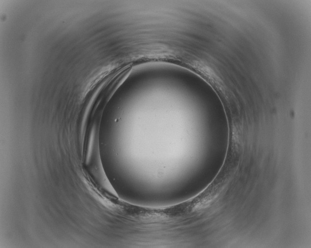 X0000063490397200601231417