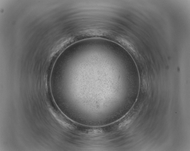 X0000063490398200601231417