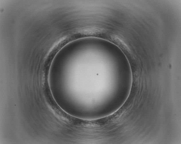 X0000063490400200601231417