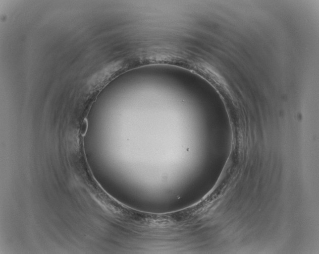 X0000063490401200601231417