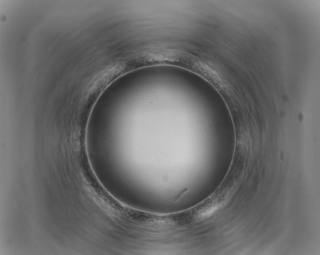 X0000063490402200601231417