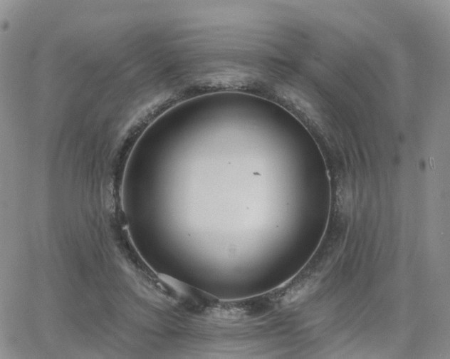 X0000063490403200601231417