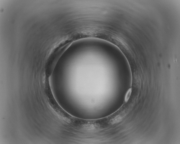 X0000063490404200601231417