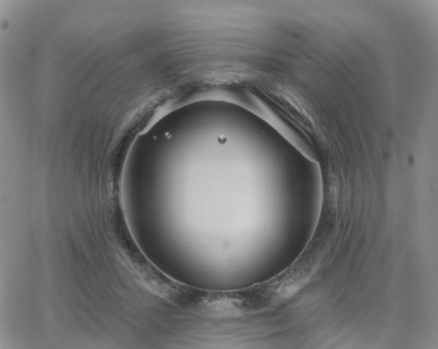 X0000063490407200601231417