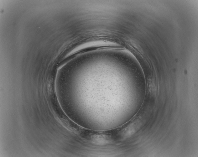 X0000063490408200601231417