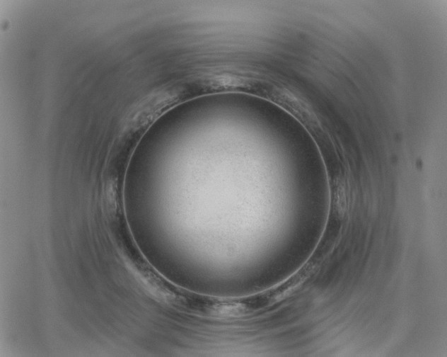 X0000063490410200601231417