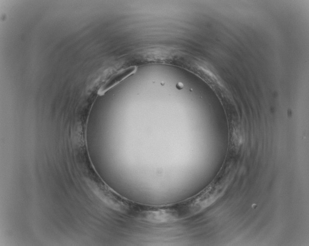 X0000063490411200601231417