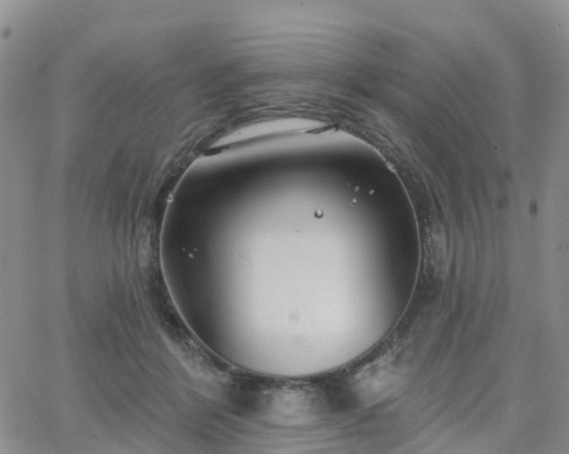 X0000063490412200601231417