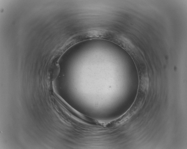 X0000063490413200601231417