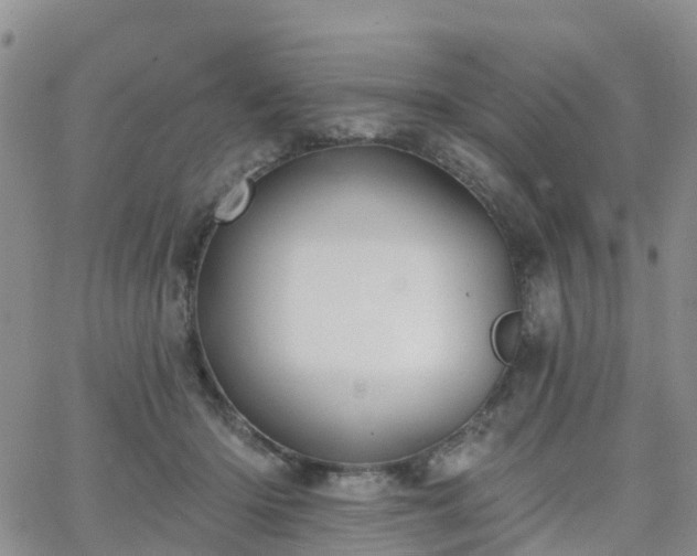 X0000063490414200601231417