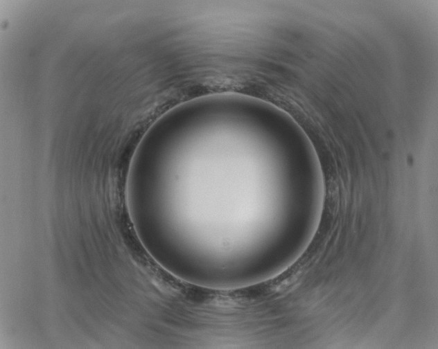 X0000063490416200601231417