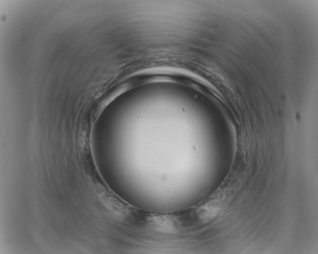 X0000063490417200601231417