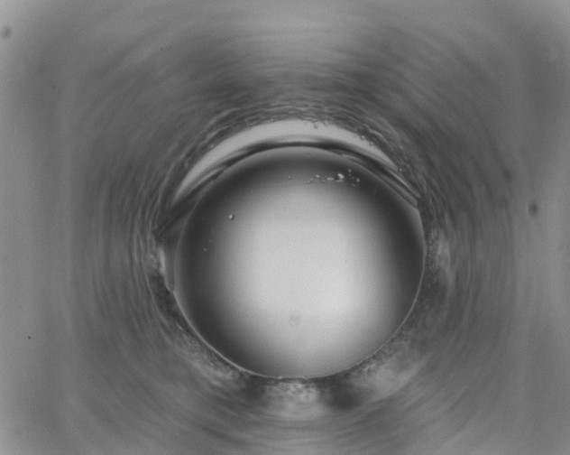 X0000063490421200601231417