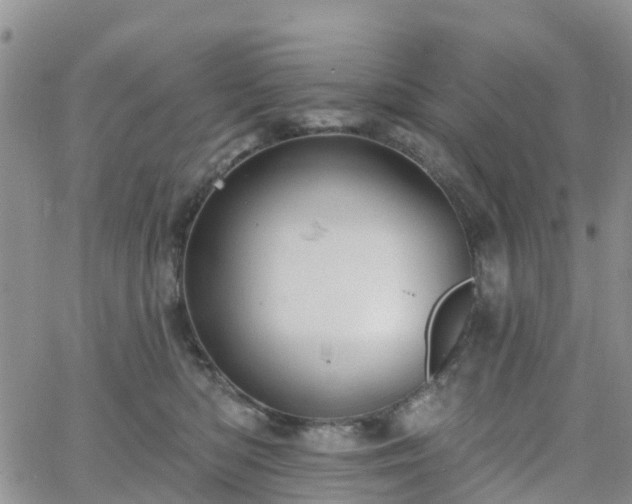 X0000063490422200601231417