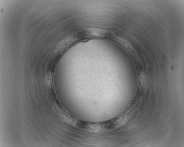 X0000063490423200601231417