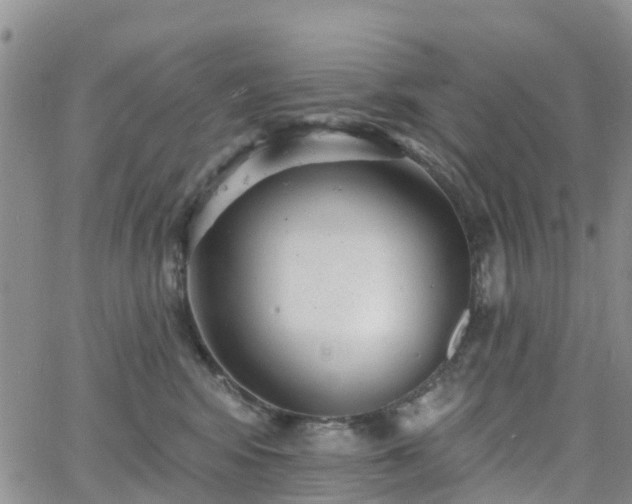 X0000063490424200601231417