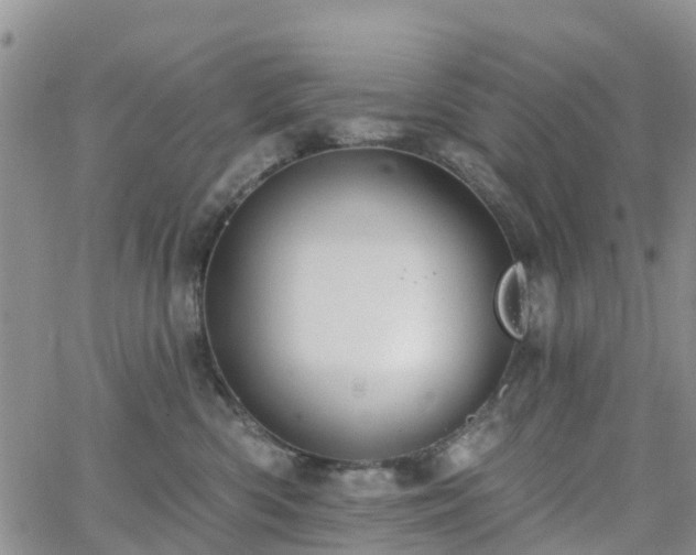 X0000063490426200601231417