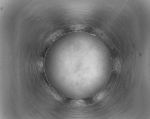 X0000063490427200601231417