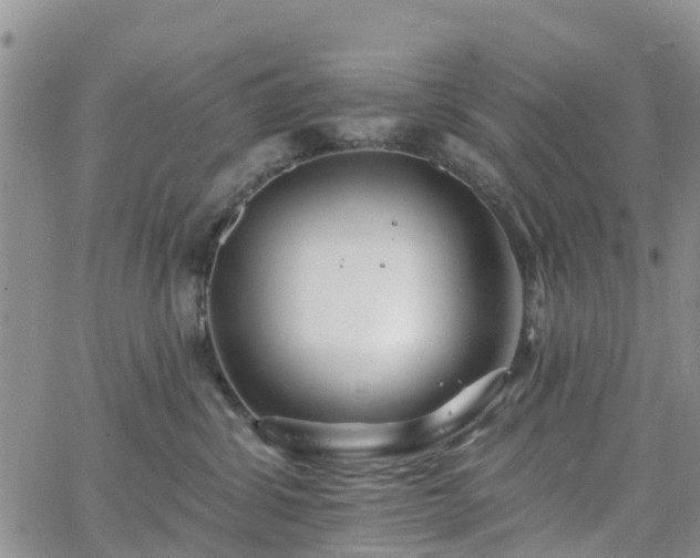 X0000063490428200601231417