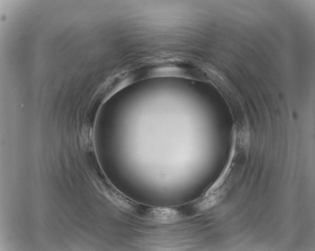 X0000063490429200601231417