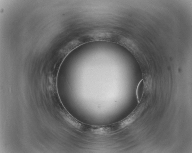 X0000063490430200601231417