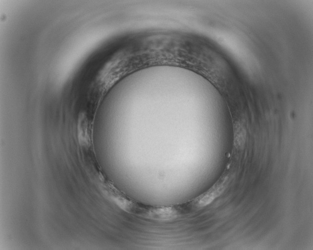 X0000063490431200601231417