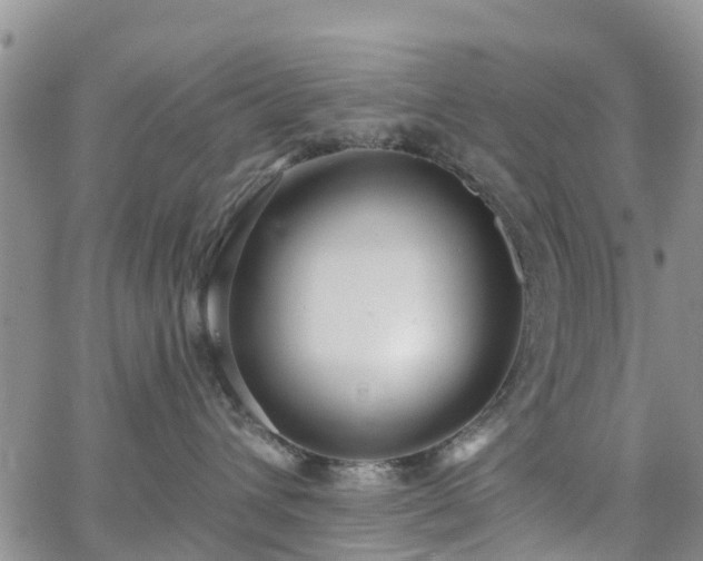 X0000063490432200601231417