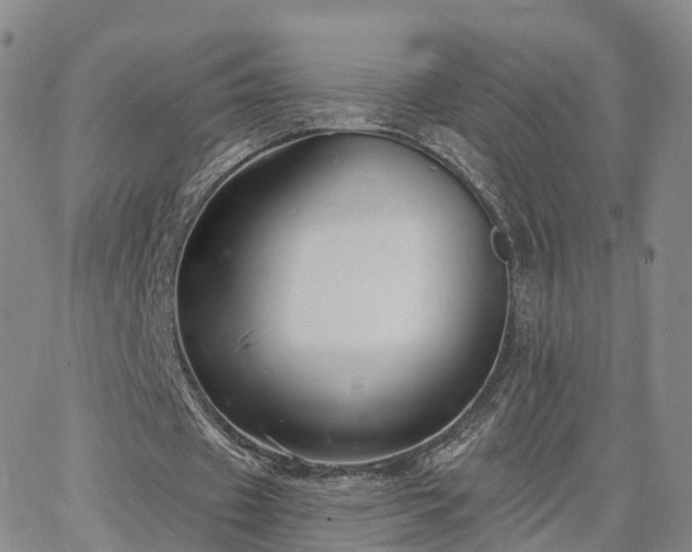 X0000063490433200601231416