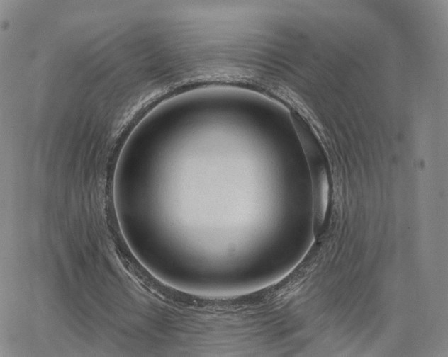 X0000063490434200601231416