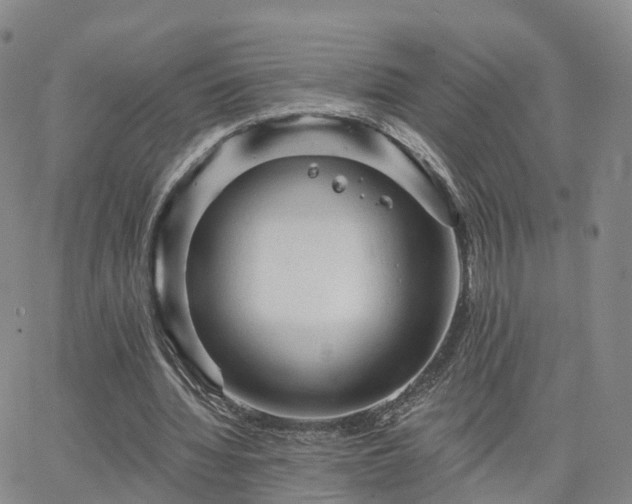 X0000063490436200601231416