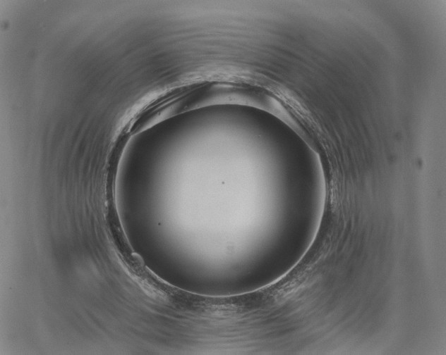 X0000063490438200601231416