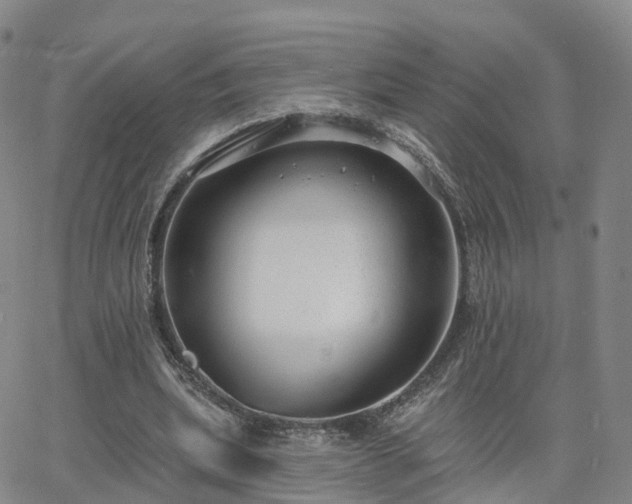 X0000063490439200601231416