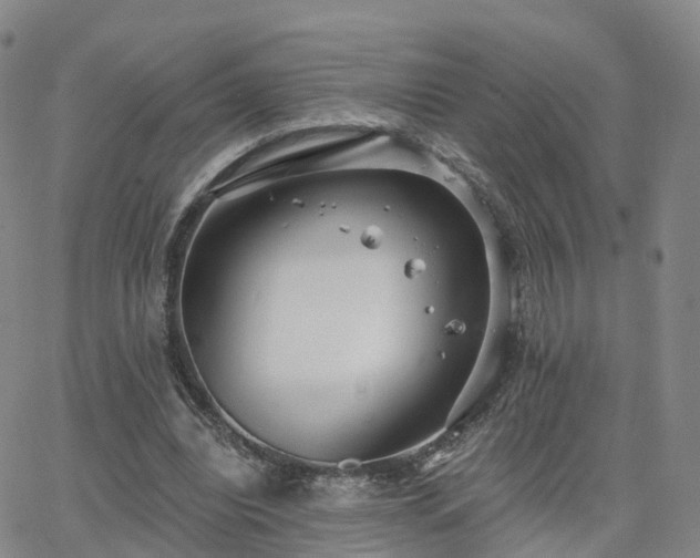 X0000063490440200601231416