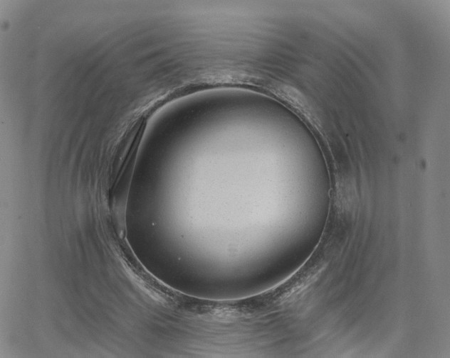 X0000063490441200601231416