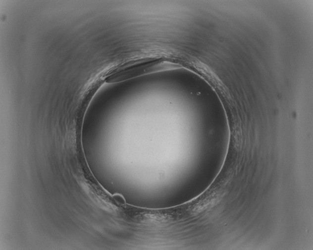 X0000063490442200601231416