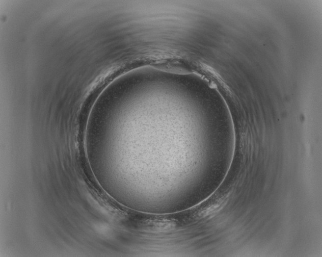 X0000063490443200601231416