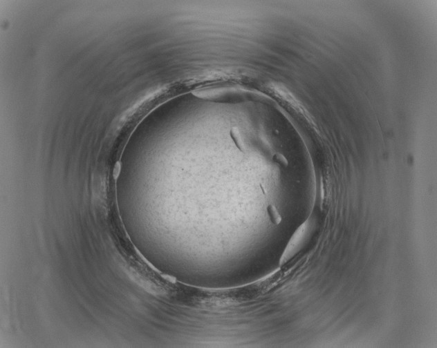 X0000063490444200601231416