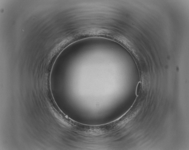 X0000063490445200601231416