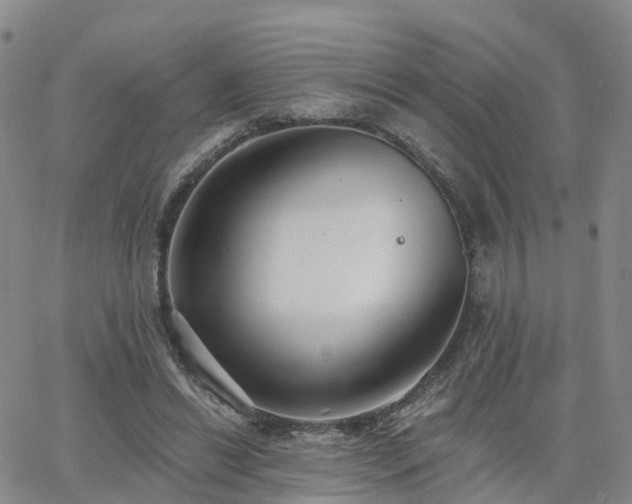 X0000063490446200601231416