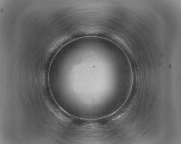 X0000063490447200601231416