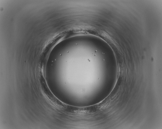 X0000063490448200601231416