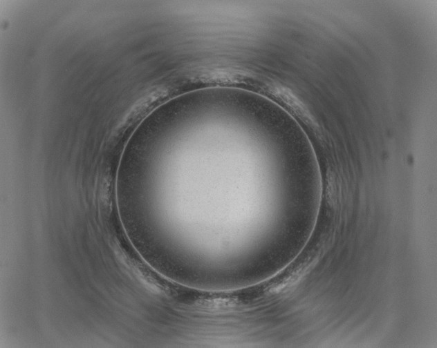 X0000063490449200601231416