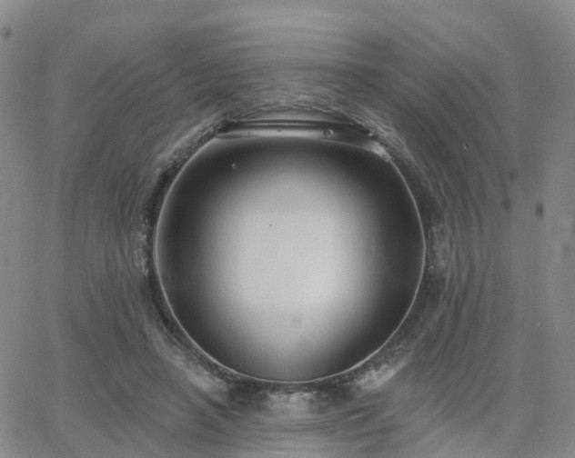 X0000063490450200601231416