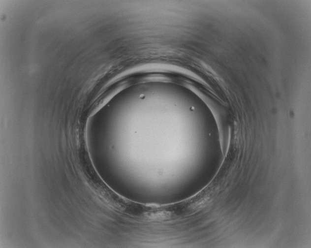 X0000063490452200601231416