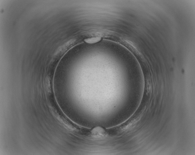 X0000063490453200601231416