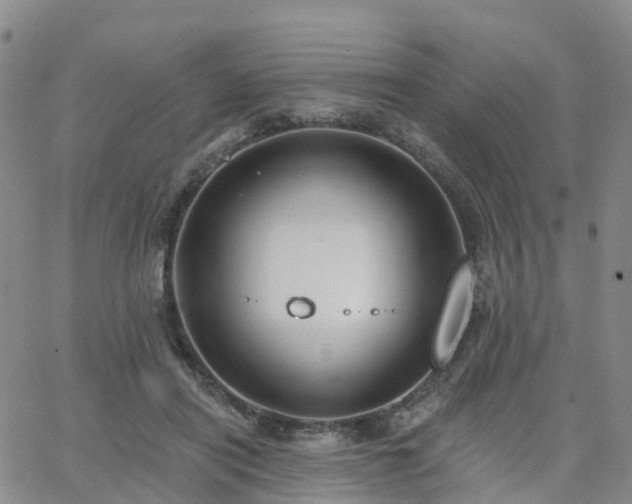 X0000063490454200601231416