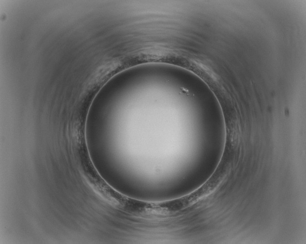 X0000063490455200601231416