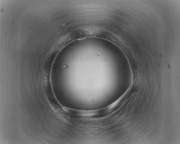 X0000063490456200601231416