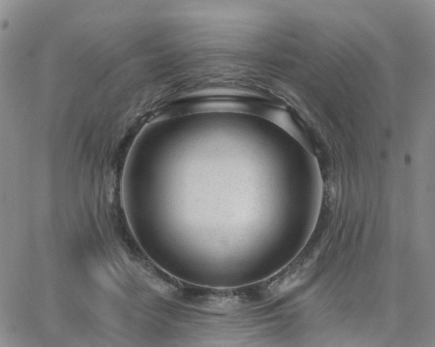 X0000063490458200601231416